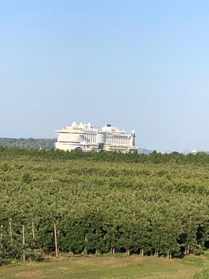 Wohnen Im Alten Land Gruenendeich Экстерьер фото