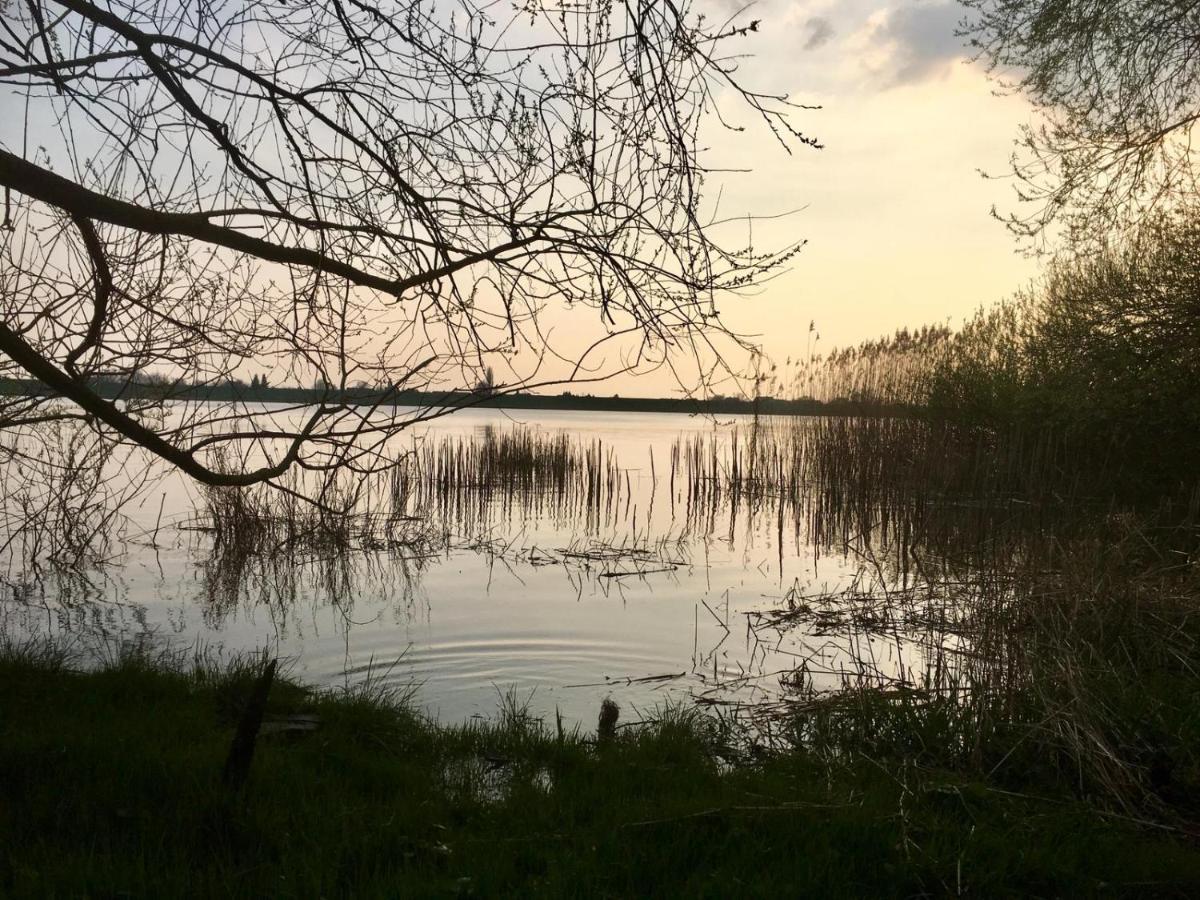 Wohnen Im Alten Land Gruenendeich Экстерьер фото